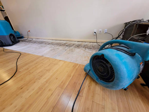 Professional Water Damage Repair technician working in Forest Knolls, CA
